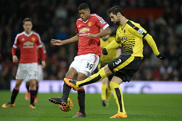 新奥尔良鹈 新奥尔良鹈