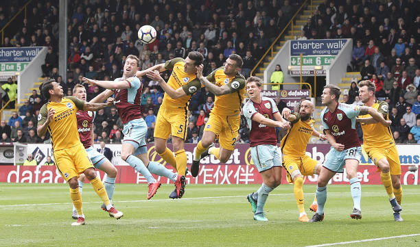 运动康复领 运动康复领